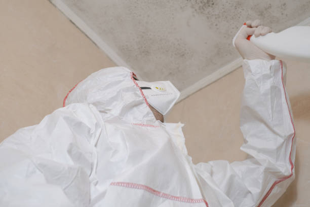 Best Commercial Mold Remediation in Tierra Verde, FL